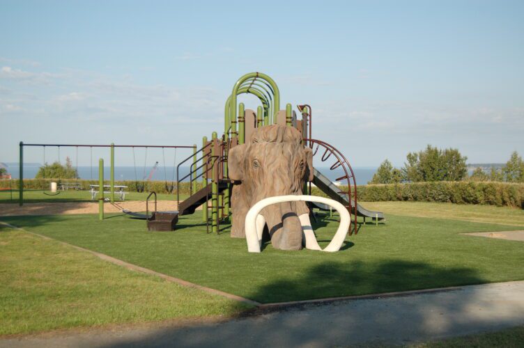 playground with wooly mammoth head shaped equipment