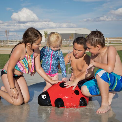 children playing with sprinkler