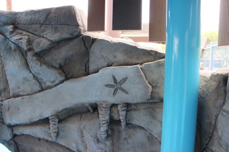 starfish detail on playground equipment