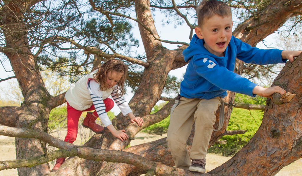 Kids playing on tree