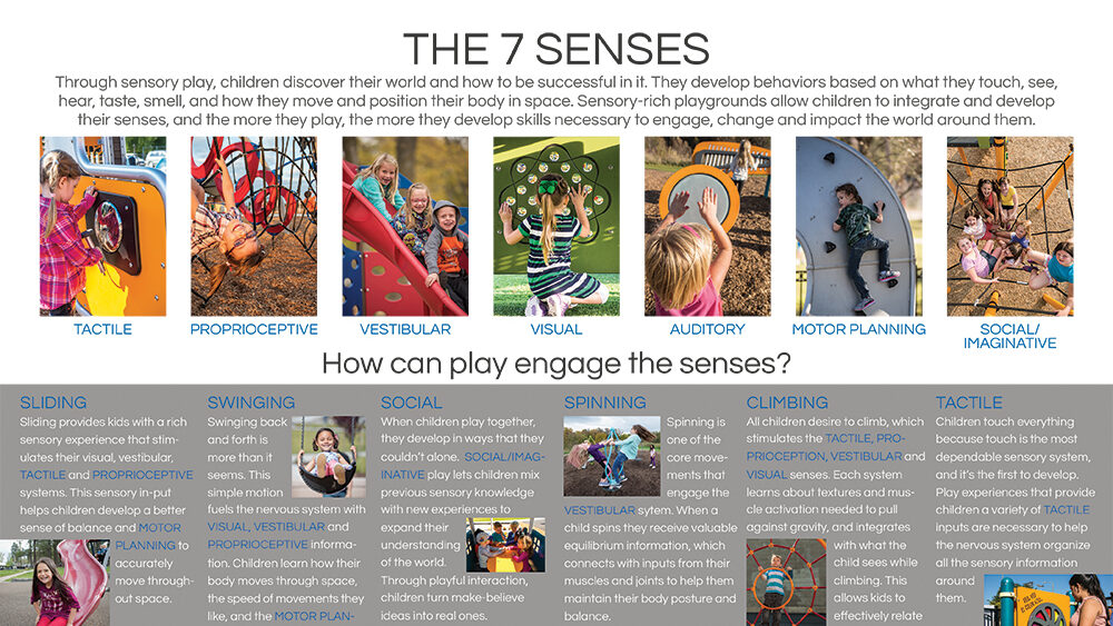 7 Senses graphic