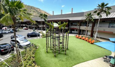 playground equipment at Manoa Marketplace